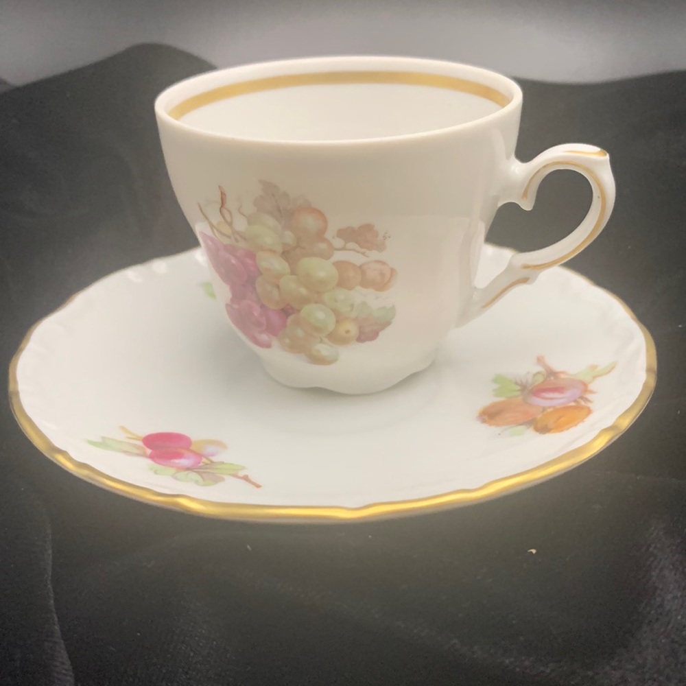 House of Goebel Bavaria W . Germany Small teacup and saucer fruit